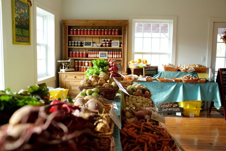 Roots to River Farm Market at Gravity Hill