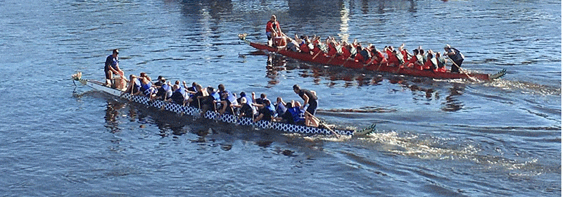 Dragon Boat Race New Hope Lambertville