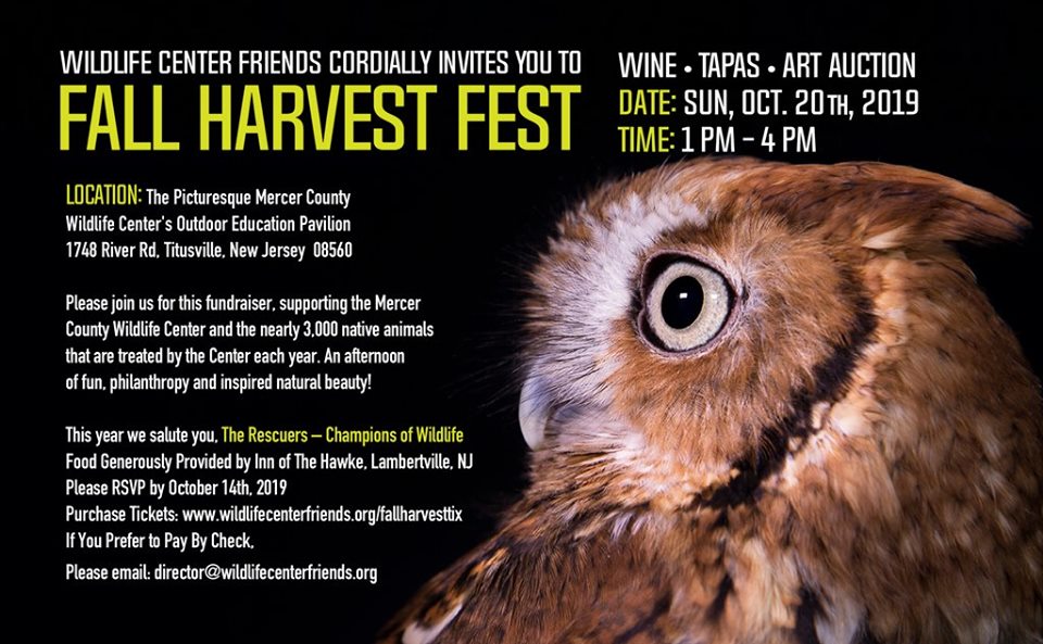 Fall Harvest Fest for Animals, Wine-Tapas-Art Auction