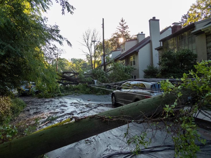 Storm damage from around the Delaware River Towns