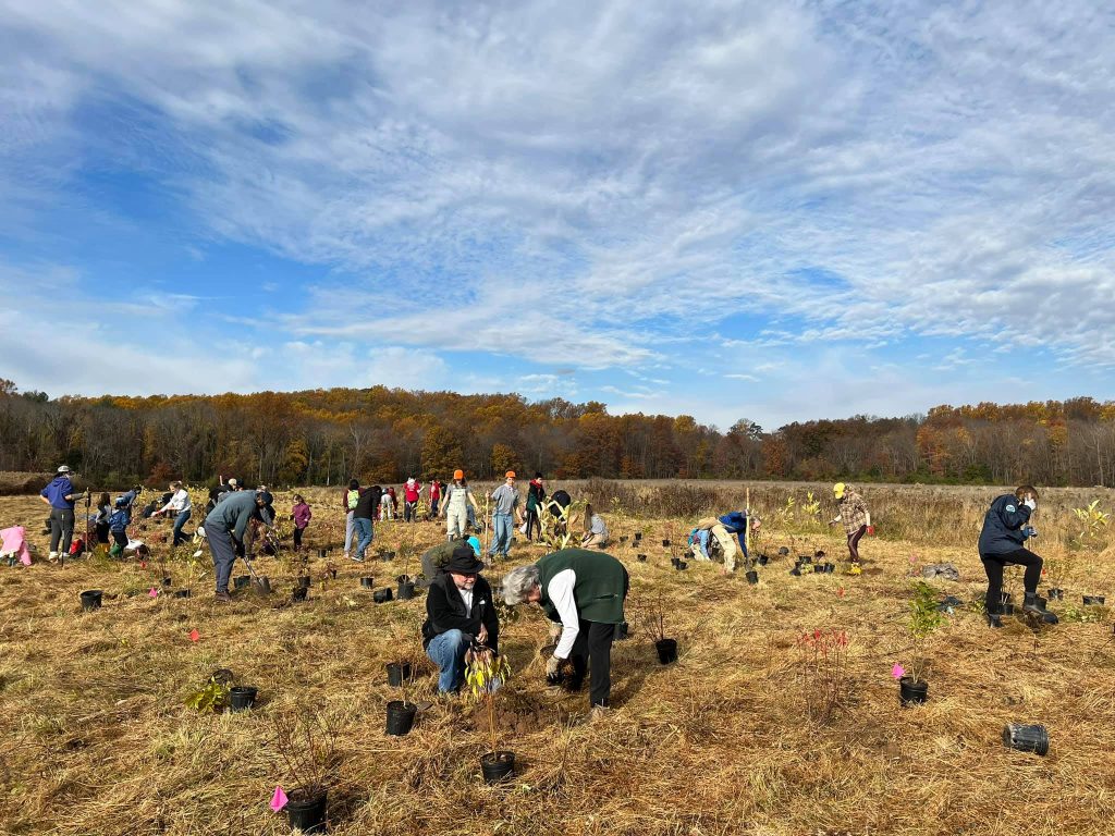 Restoring the Sourlands a Tree at a Time