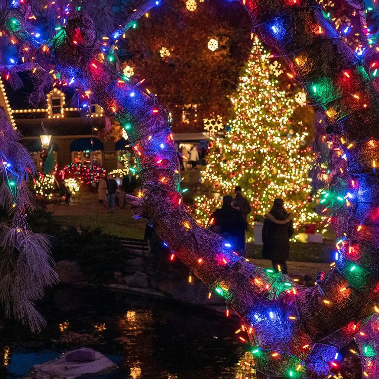 4 Family-Friendly Holiday Events That Will Get You in the Spirit